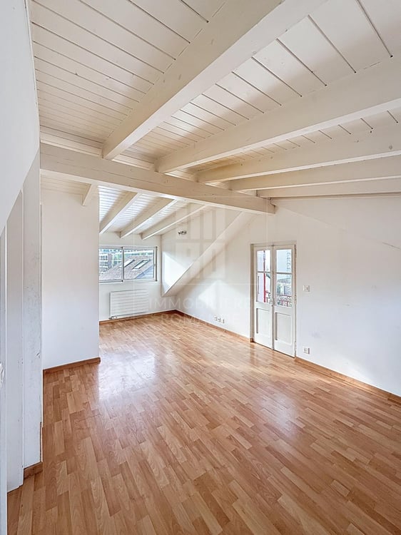 Appartement lumineux au coeur de Versoix