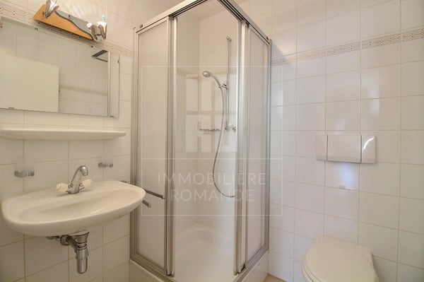 Lumineux duplex de 1.5 pièces au centre du village 11