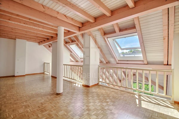 Lumineux duplex de 1.5 pièces au centre du village 2