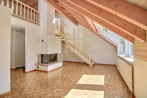 Lumineux duplex de 1.5 pièces au centre du village 4