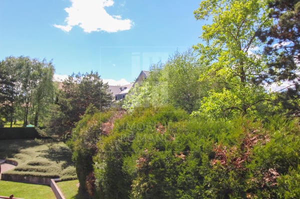 Lumineux duplex de 1.5 pièces au centre du village 13