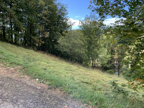 EN EXCLUSIVITE : Parcelle constructible 1