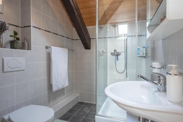 Appartement en attique avec vue lac et vignes 9