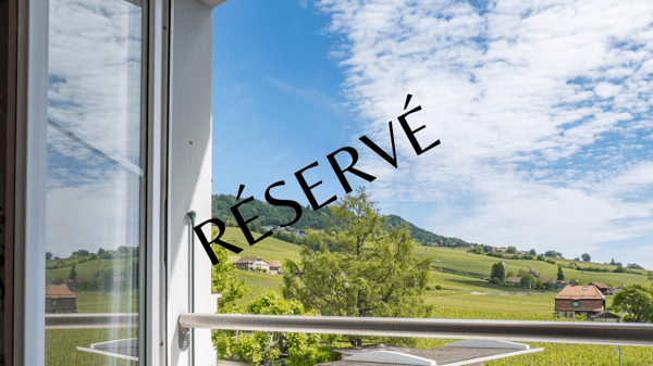 Appartement en attique avec vue lac et vignes 1