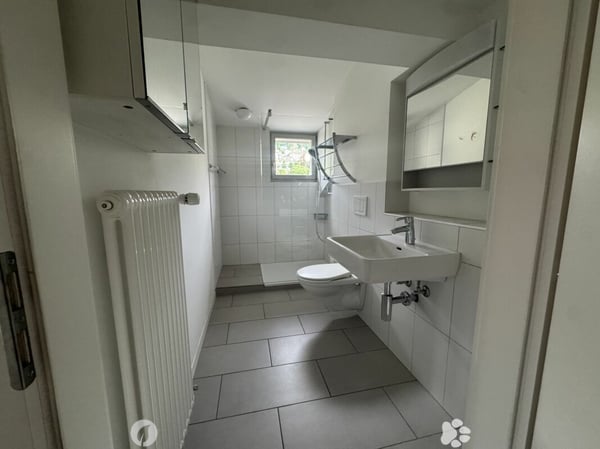 3½-Zimmer-Dachwohnung in einer Villa an ruhiger, zentraler Lage 6