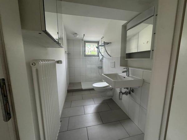 3½-Zimmer-Dachwohnung in einer Villa an ruhiger, zentraler Lage 6