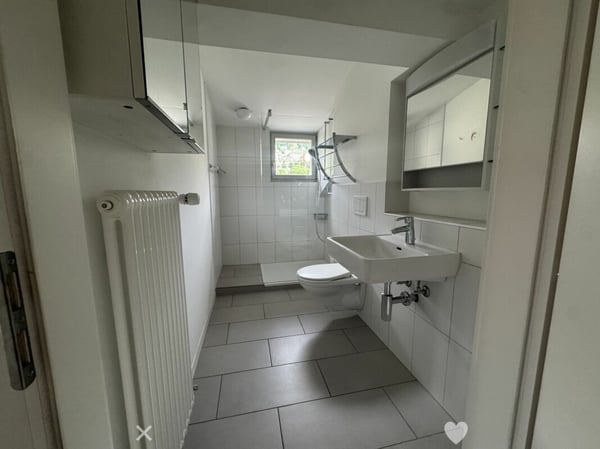 3½-Zimmer-Dachwohnung in einer Villa an ruhiger, zentraler Lage 6