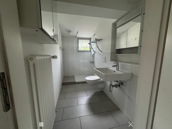 3½-Zimmer-Dachwohnung in einer Villa an ruhiger, zentraler Lage 6