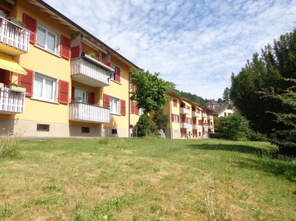Schöne Genossenschaftswohnung an erhöhter Lage (ohne Balkon) 1