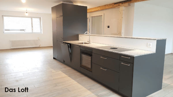 Loft nähe Stadtpark zu vermieten (mit virtueller Tour) 2