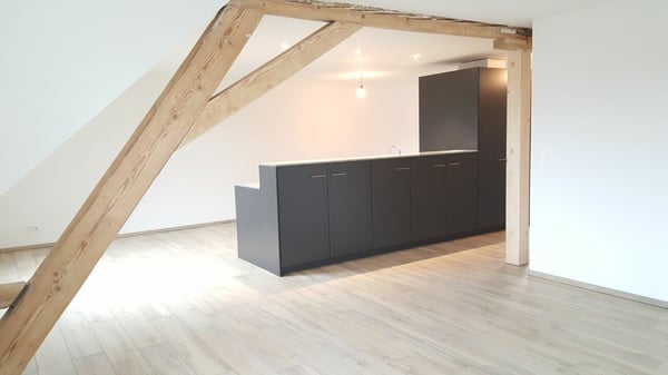 Loft nähe Stadtpark zu vermieten (mit virtueller Tour) 4