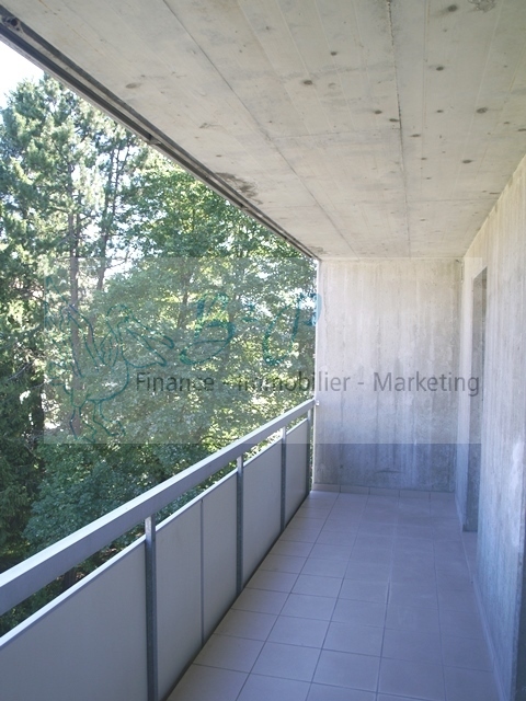 Bel appartement de 1.5 pièces dans un quartier calme et verdoyant. 3