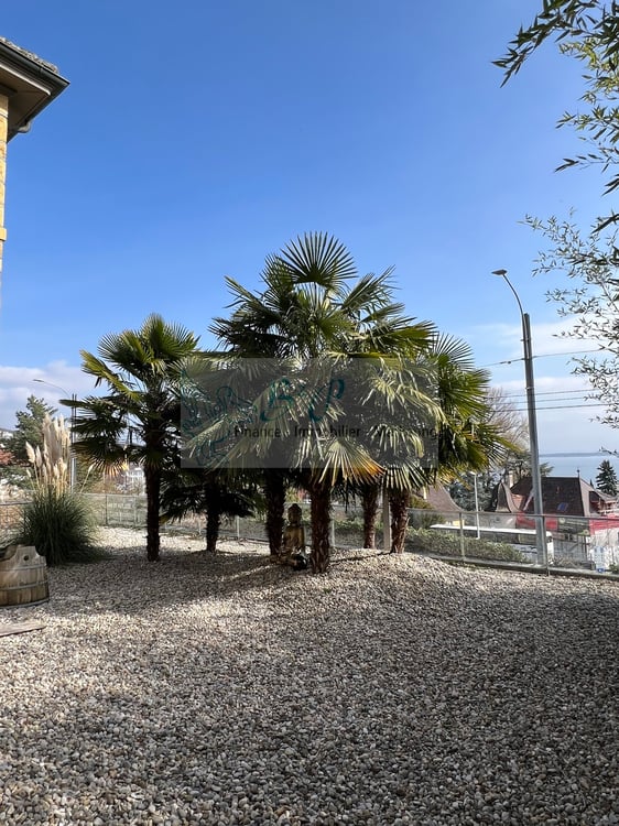 Magnifique villa avec terrasse et vue sur le lac 13