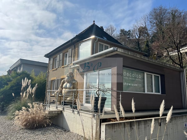 Magnifique villa avec terrasse et vue sur le lac 8