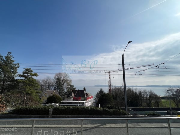 Magnifique villa avec terrasse et vue sur le lac 10