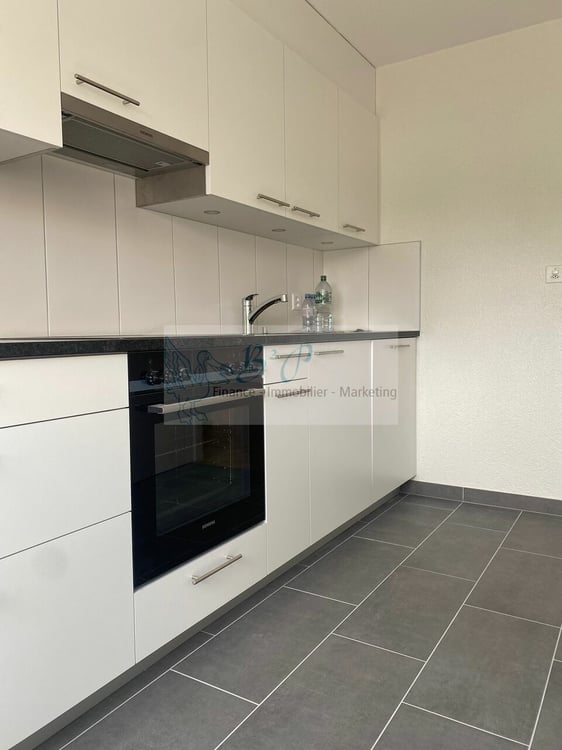 Un bel appartement de 1.5 pièces dans un quartier calme est à louer ! 2