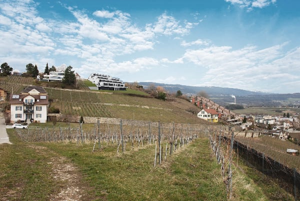 Les terrasses de Sachet, villas de 5.5 pièces à Cortaillod 3
