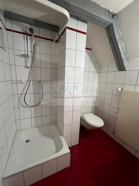 Appartement en duplex de 5.5 pièces à La Chaux-de-Fonds 12