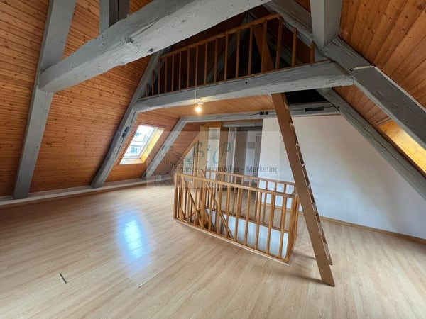 Appartement en duplex de 5.5 pièces à La Chaux-de-Fonds 8