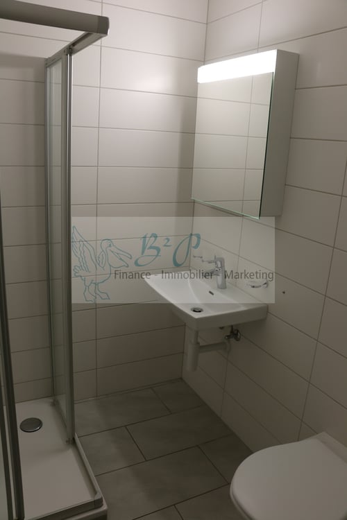 Appartement de 1.5 pièces au 5ème étage avec vue dégagée. 8