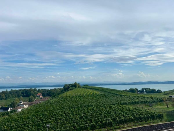 Les terrasses de Sachet, villas de 2.5 pièces à Cortaillod 2