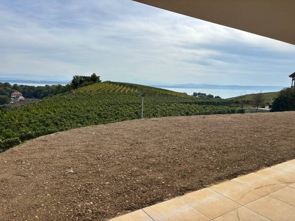 Les terrasses de Sachet, villas de 2.5 pièces à Cortaillod 5