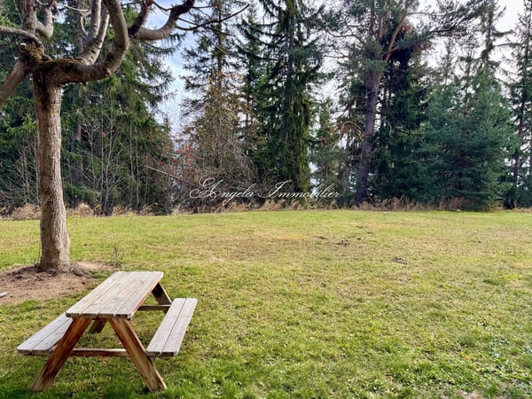 1-Room + Studio Ski-in. Ski-Out in Plans-Mayens 9