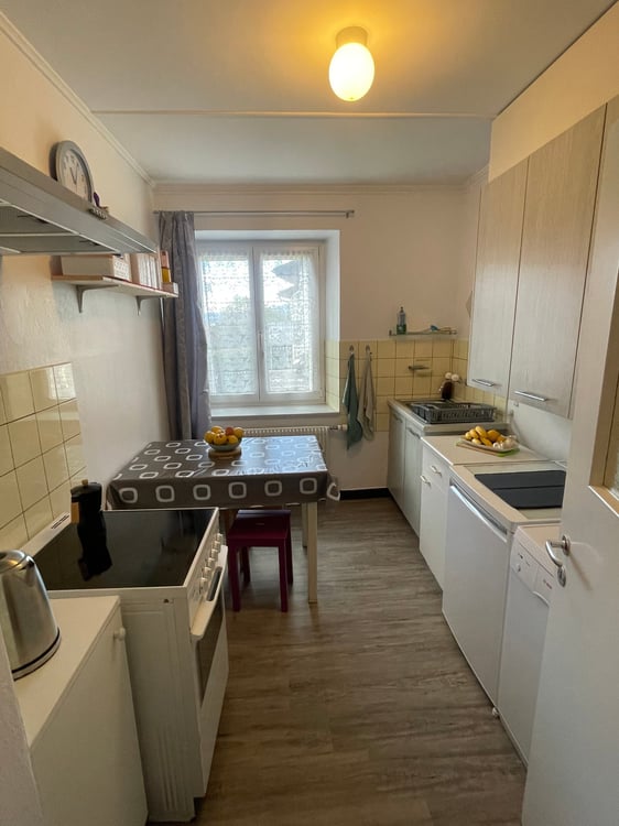 Immeuble de 3 appartements et terrain constructible à vendre à Diesse 13