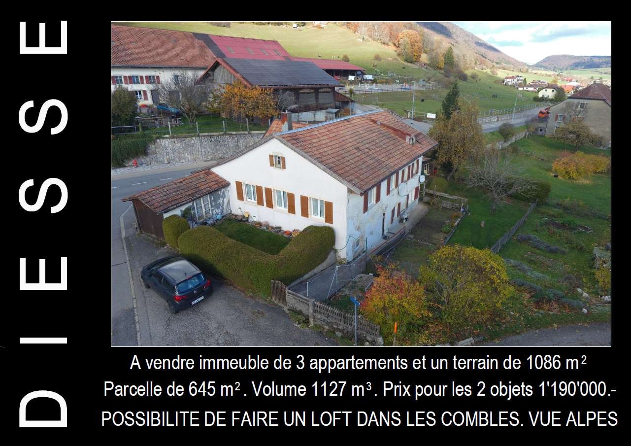 White house with brown roof, car parked, garden, green field, mountains in the distance