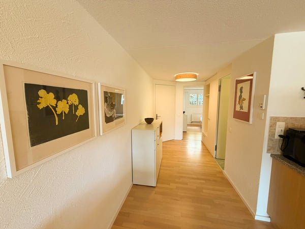 Charmante 2-Zimmer-Wohnung mit Terrasse und herrlicher Aussicht in Flims-Dorf 5