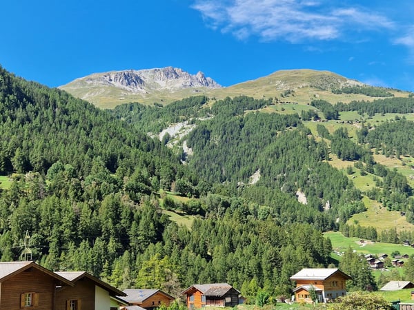 Chalet in Bau - Ausbau nach Wunsch des Mieters - Hauptwohnsitz - Evolène 6