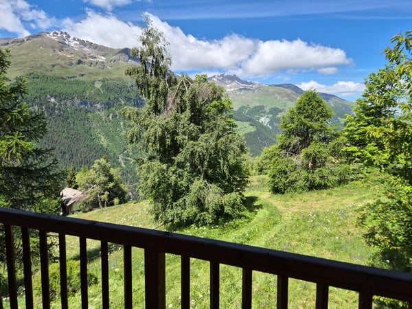 Chalet de caractère à Villa (Evolène) - Vue panoramique - Ensoleillement maximal 16