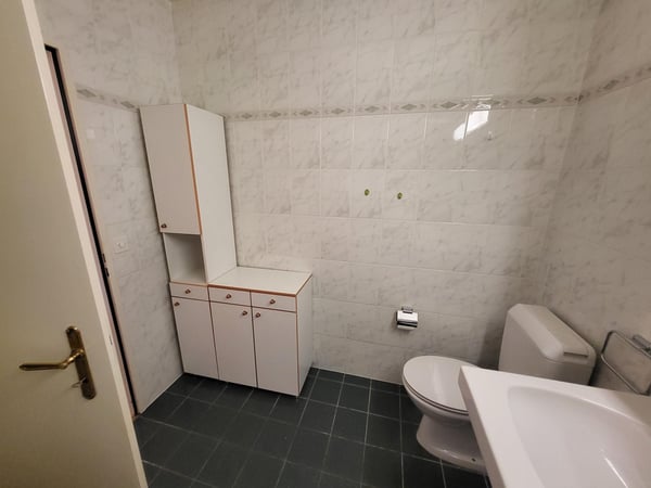 Ravissant appartement 4 pièces traversant au coeur de Meinier 7