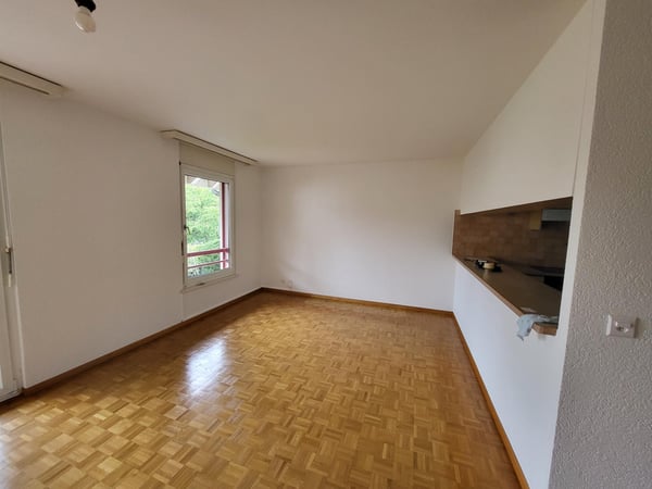 Ravissant appartement 4 pièces traversant au coeur de Meinier 5