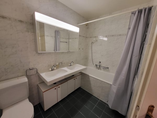 Ravissant appartement 4 pièces traversant au coeur de Meinier 8