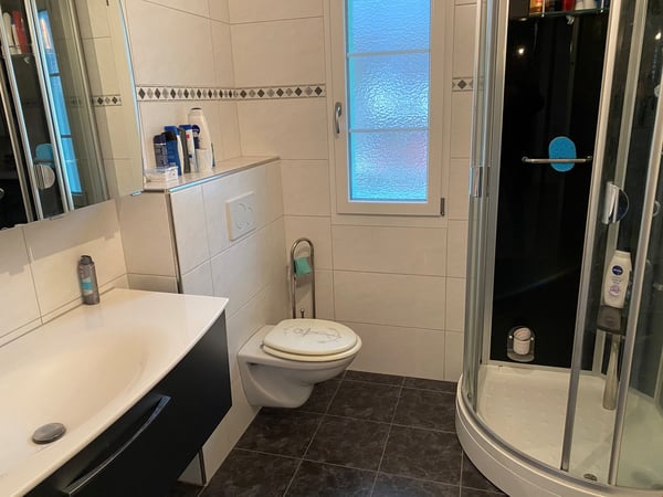 Gepflegtes Mehrfamilienhaus mit 6 Wohnungen in 4715 Herbetswil 10