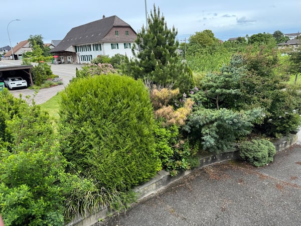 Wohn- und Geschäftsliegenschaft, Egerkingen 7