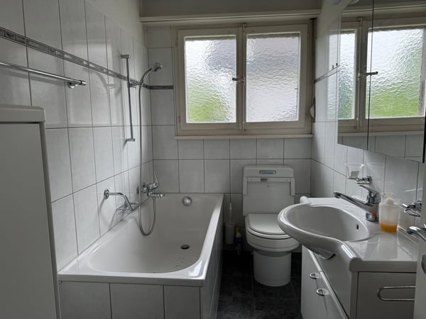 Wohn- und Geschäftsliegenschaft, Egerkingen 10