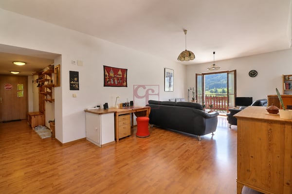 Château-d'Oex - Appartement 3,5 pièces dans une résidence de standing 2