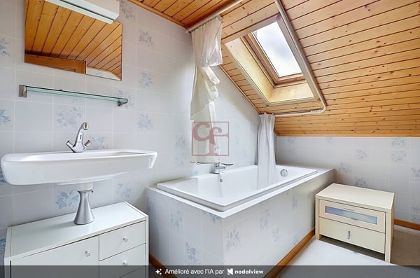 Immeuble de rendement idéalement situé en plein centre du village 5
