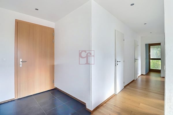 Pringy - Magnifique 4,5 pces avec terrasse et panorama 3
