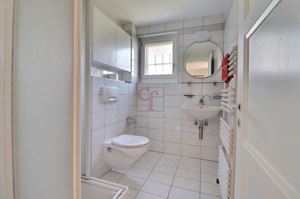Grand 2.5 pc. (env. 75 m2) avec magnifique jardin arborisé 6