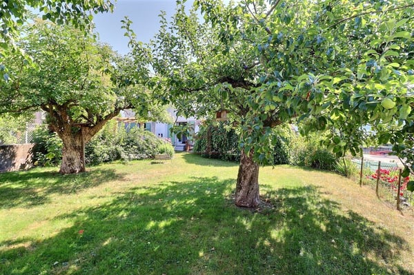 Grand 2.5 pc. (env. 75 m2) avec magnifique jardin arborisé 2