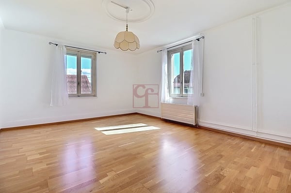 Maison familiale au coeur du village  composée de 2 appartements 4