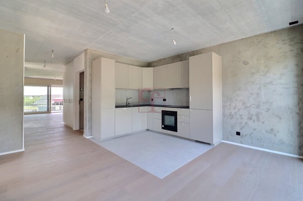 Appartement neuf de 4.5 pièces à louer ! 4