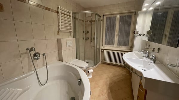 1.5 Zimmerwohnung Adora in der sonnigen Lomatte. Reserviert! 4