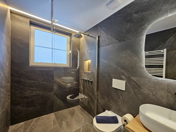 Silberdistel in der sonnigen Wildi Grossus Moos. Gartenwohnung. 13