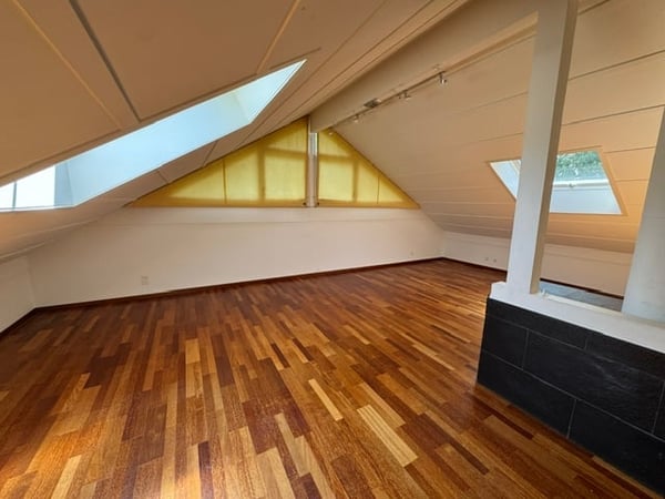 Magnifique maison individuelle de 6 pièces à Chêne-Bougeries 6