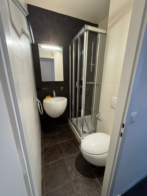 Magnifique appartement en attique de 7.5 pièces avec vue panoramique – Genève Florissant 13