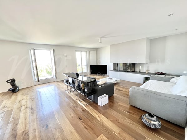 SUPERBE ATTIQUE DE 170 m2 AVEC VUE SUR LE DEGAGEE SUR LE LAC 2